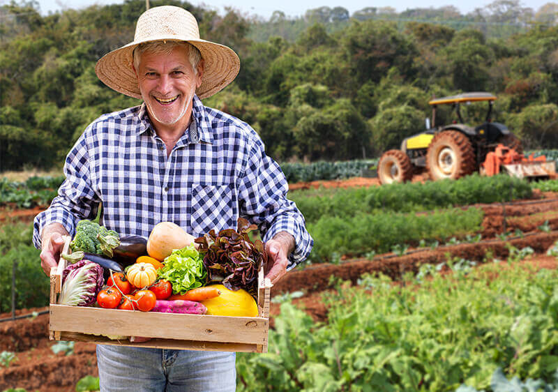 Healthiest Vegetables on Earth 7 1